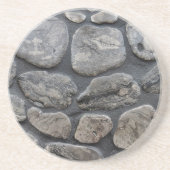 Michigan Petoskey Stones Zandsteen Onderzetter (Voorkant)