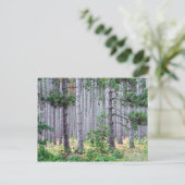 Michigan Pine Trees Briefkaart (Staand voorkant)