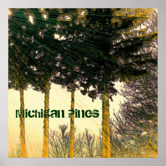 Michigan Pines Poster (Voorkant)
