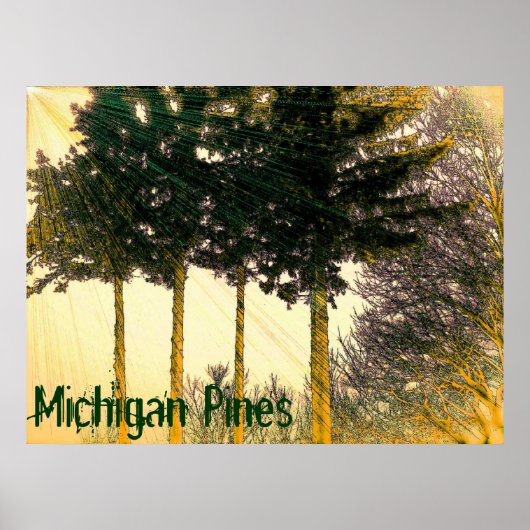 Michigan Pines Poster (Voorkant)