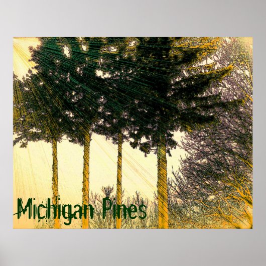 Michigan Pines Poster (Voorkant)