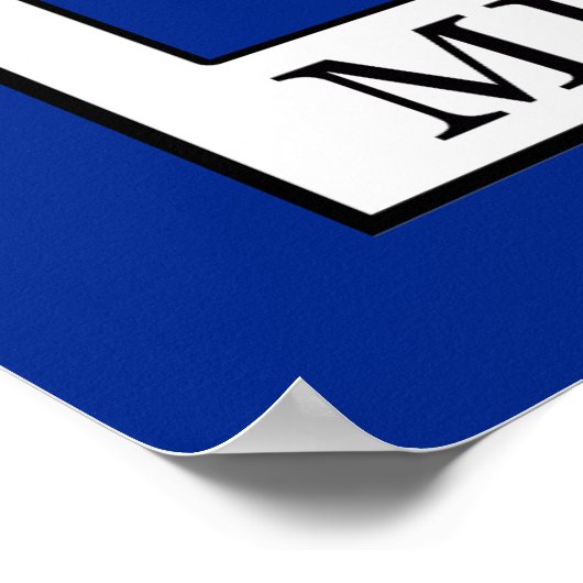 Michigan Poster (Hoek)