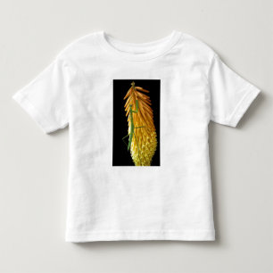 Michigan, Rochester Hills. Bidsprinkhaan op Rode Kinder Shirts