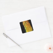 Michigan, Rochester Hills. Bidsprinkhaan op Rode Vierkante Sticker (Envelop)
