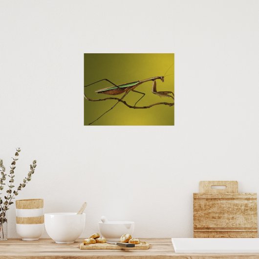 Michigan, Rochester Hills. Het bidden van Mantis o Poster (Keuken)