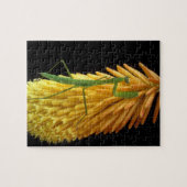 Michigan, Rochester Hills. Mantis bidden op Red Legpuzzel (Horizontaal)