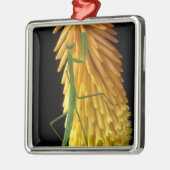 Michigan, Rochester Hills. Mantis bidden op Red Metalen Ornament (Links)