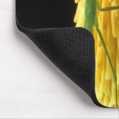 Michigan, Rochester Hills. Mantis bidden op Red Muismat (Hoek)