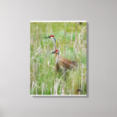 Michigan Sandhill Cranes Canvas Afdruk (Voorkant)