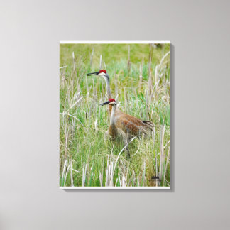 Michigan Sandhill Cranes Canvas Afdruk