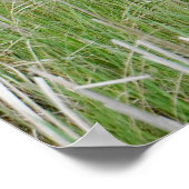 Michigan Sandhill Cranes Poster (Hoek)