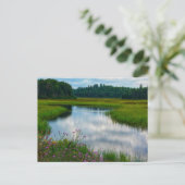 Michigan Scene Ansichtkaart Briefkaart (Staand voorkant)