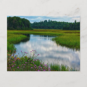 Michigan Scene Ansichtkaart Briefkaart