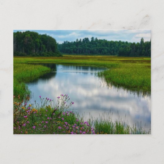 Michigan Scene Ansichtkaart Briefkaart (Voorkant)