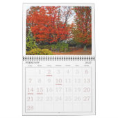 "MICHIGAN SHOWS HAAR HERFSTKLEUREN" KALENDER 2025 (Feb 2027)