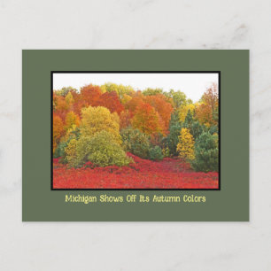 Michigan Shows uit zijn herfstkleuren Briefkaart