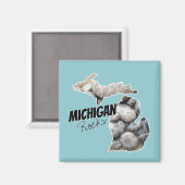 Michigan Silhouette gevuld met petoskeystonen Magneet (Voorkant / Achterkant)