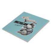 Michigan Silhouette gevuld met petoskeystonen Tegeltje (Zijkant)