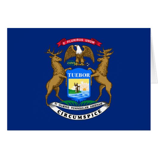 Michigan Staatsvlag (Voorkant Horizontaal)