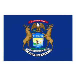 Michigan Staatsvlag Foto Afdruk