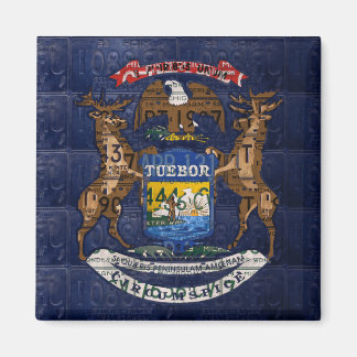 Michigan Staatsvlag in Licentie Borden Magneet