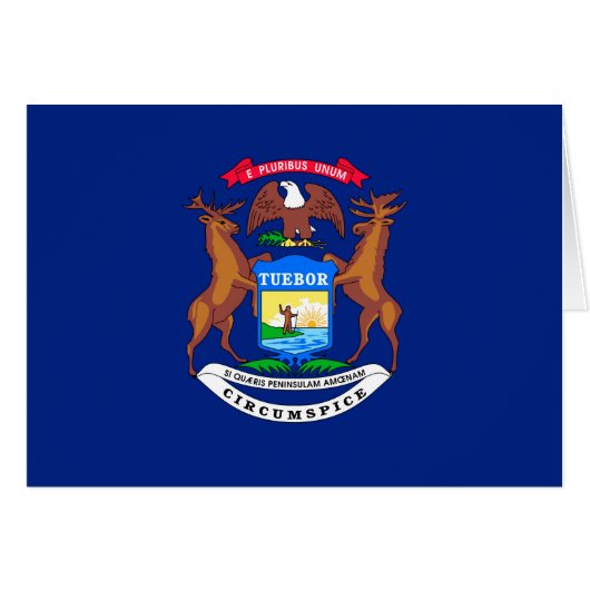 Michigan Staatsvlag Ontwerp (Voorkant Horizontaal)