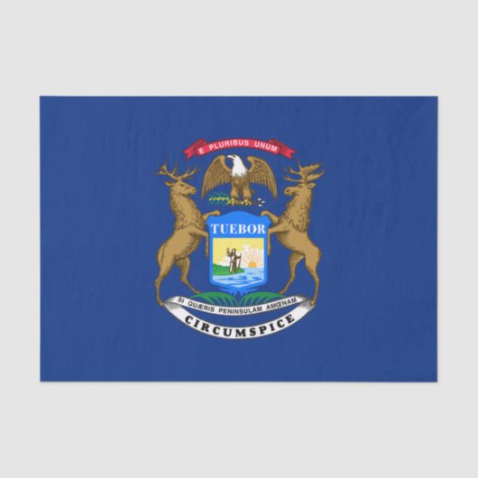 Michigan Staatsvlag Tissuepapier (Voorkant)