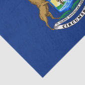 Michigan Staatsvlag Tissuepapier (Detail)