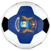 Michigan Staatsvlag Voetbal (Gedraaid)