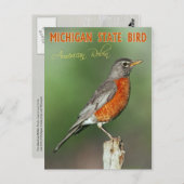Michigan State Bird - American Robin Briefkaart (Voorkant / Achterkant)