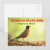 Michigan State Bird Robin Briefkaart (Voorkant / Achterkant)