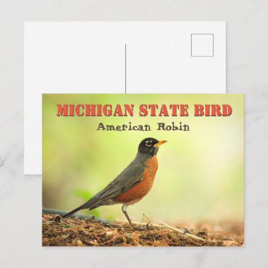 Michigan State Bird Robin Briefkaart (Voorkant / Achterkant)
