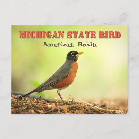 Michigan State Bird Robin Briefkaart (Voorkant)