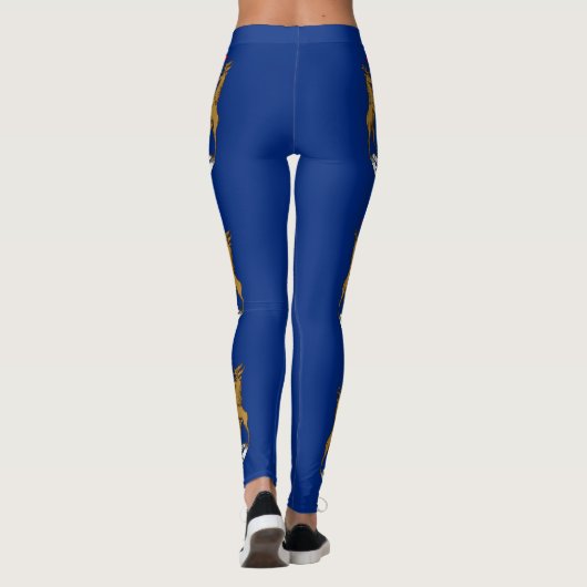 Michigan State Flag Leggings (Achterkant)