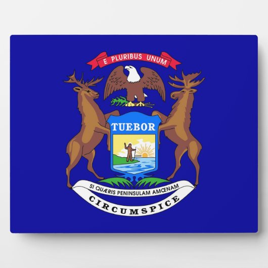 Michigan State Flag Plaque Fotoplaat (Voorkant)