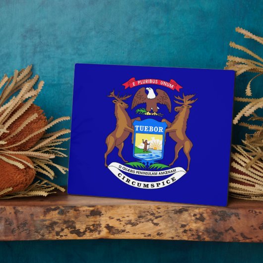 Michigan State Flag Plaque Fotoplaat (Zijkant)