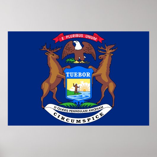 Michigan State Flag Poster (Voorkant)
