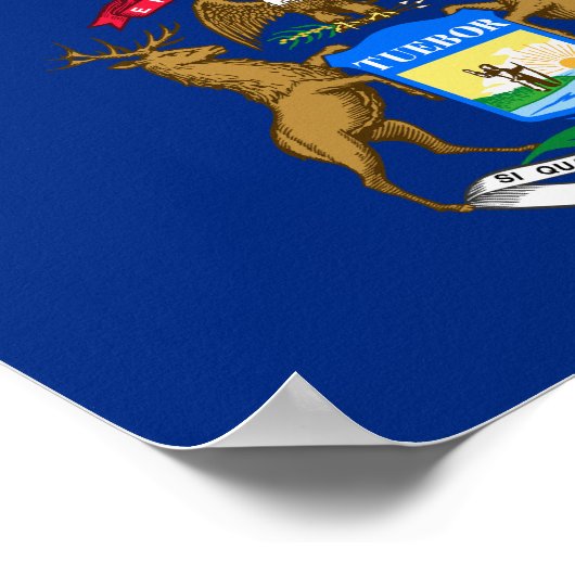 Michigan State Flag Poster (Hoek)