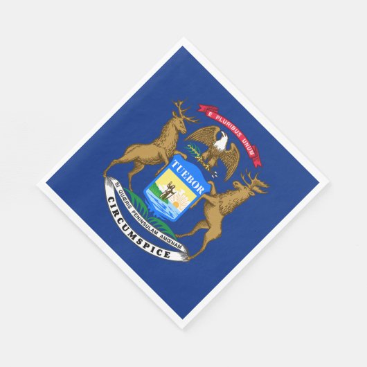 Michigan State Flag Servet (Hoek)