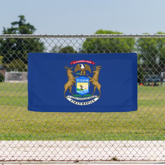 Michigan State Flag Spandoek (Insitu)