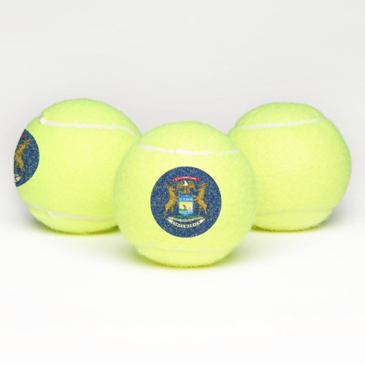 Michigan State Flag Tennisballen (Multi)