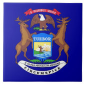 Michigan State Flag Tile Tegeltje (Voorkant)
