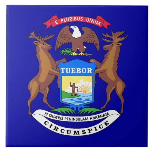Michigan State Flag Tile Tegeltje (Voorkant)