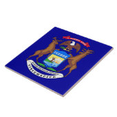 Michigan State Flag Tile Tegeltje (Zijkant)