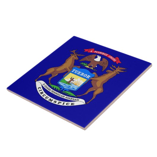 Michigan State Flag Tile Tegeltje (Zijkant)