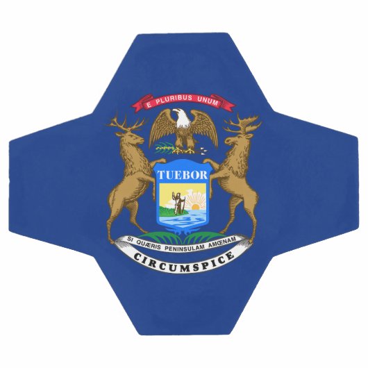 Michigan State Flag Voetbal (Enkel)