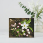 Michigan State Flower: Apple Blossom Briefkaart (Staand voorkant)