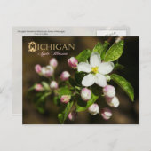 Michigan State Flower: Apple Blossom Briefkaart (Voorkant / Achterkant)