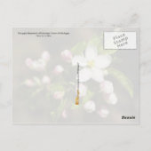 Michigan State Flower: Apple Blossom Briefkaart (Achterkant)