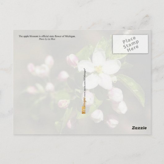 Michigan State Flower: Apple Blossom Briefkaart (Achterkant)